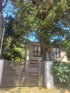 Descanso y mar - Camet