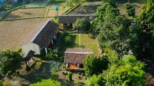 Bardia Eco Friendly Homestay - Baijnathpurwa