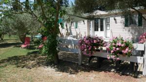 Maisons de vacances Mas Maurane - L'Olivier avec SPA prive aux portes d'ARLES : photos des chambres