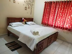 Coorg misty fog - Kakkabe