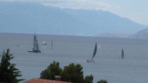 Apartment in Crikvenica with sea view, balcony, air conditioning, WiFi 4973-1