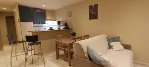 Grand studio 3 personnes idéalement placé - 巴斯洛内特 Grand studio 3 personnes idéalement placé - 巴斯洛内特