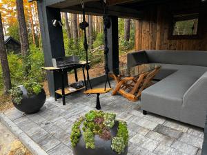 Domek w Koronach Drzew