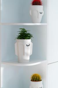 Emirates White Sensation