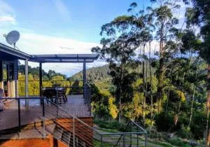 HILLSIDE HOUSE - Beech Forest