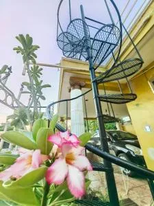 Casa Olivo, tranquilidad y descanso. - Tecoh