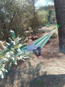 Sejours chez l'habitant Ecrin de nature sous les pins : photos des chambres