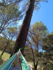Sejours chez l'habitant Ecrin de nature sous les pins : photos des chambres