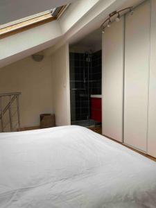 Appartements T2 duplex4 Hyper-centre climatise : photos des chambres