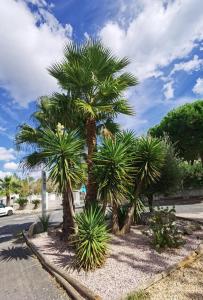 Campings Mobil-home a valras-plage au Camping les sables du Midi : photos des chambres