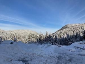 Appartements Le Perchoir du Grand Valtin - Gite 5 personnes - Altitude 830 : photos des chambres