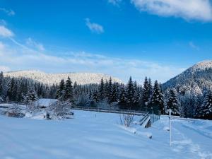 Appartements Le Perchoir du Grand Valtin - Gite 9 personnes - Altitude 830 : photos des chambres