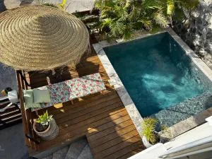 Paulette à la plage - Grande Ravine