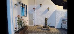 Lovely house with garden