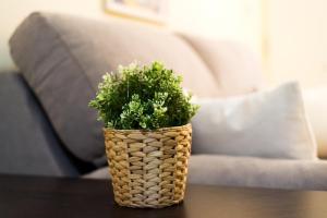 VICTORIA SQUARE- CENTER Apartment