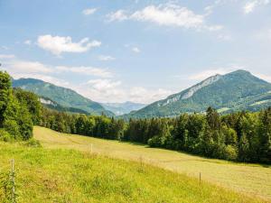 Ferienwohnung in Bad Goisern