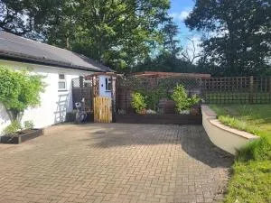 Little Apples - Ibsley