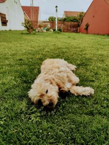 Casita con parque Pet Friendly a 2 cuadras de la playa