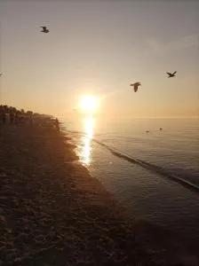 Politechnika Warszawska Ośrodek Wypoczynkowy - Сарбіново