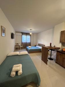 Anesis Airport rooms 306