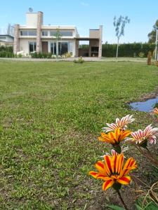 De Alma Tinta - Petit Chalet