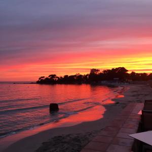 Hotels Palm Beach : photos des chambres