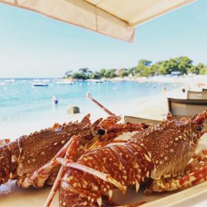 Hotels Palm Beach : photos des chambres