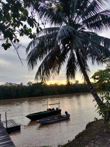 Osman homestay