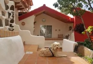 Hyggeland II - Oase der Ruhe im Palmendorf Tazo - Cubaba