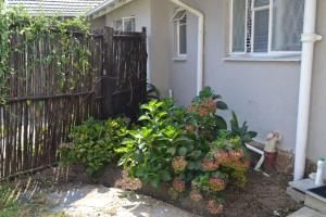 Bryanston Elgin - Cottage 5