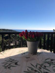 Apartamento Corinna
