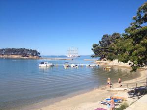 Apartments Đoković 