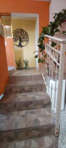 Habitacion SUPER GRANDE 6 personas CasaSanFco5