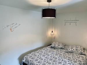 LÉcrivain, Vue lac, proche pistes de ski