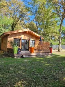 Bacchus, au coeur du sauternais - Callen