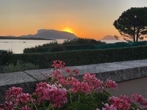 Sandy Cove Patio Villa sul Mare img49