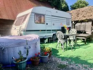 The Views - Ratlinghope