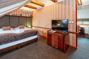 Standard Apartment room in Hotel Golden Eagle