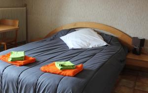 Hotels L Etoile d'Argent : photos des chambres