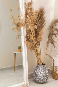 Simplicity Big Apartment