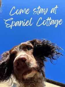 Spaniel Cottage with views of Ham hill, Stoke sub Hamdon