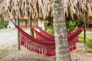 Playa Koralia