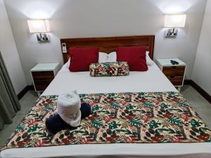 Ballena Paradise Apartahotel