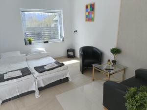 Apartament widokowy Karkonosze