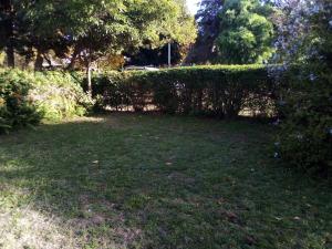 Apto. a dos cuadras del mar