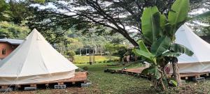 Umarin Glamping Resort