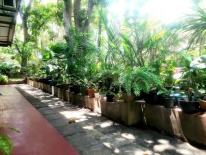 Palitha Homestay