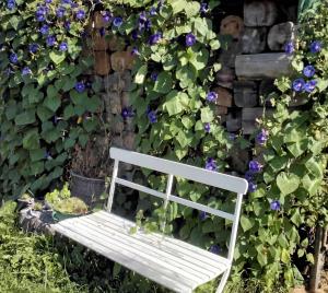 Gemütlichkeit am Vierkanthof - Apartment 2