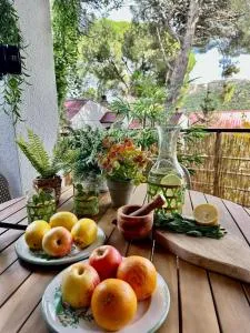 Costa De Madrid-San Martin de Valdeiglecias - Pelayos de la Presa