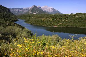 Kianna Bedandbreakfast